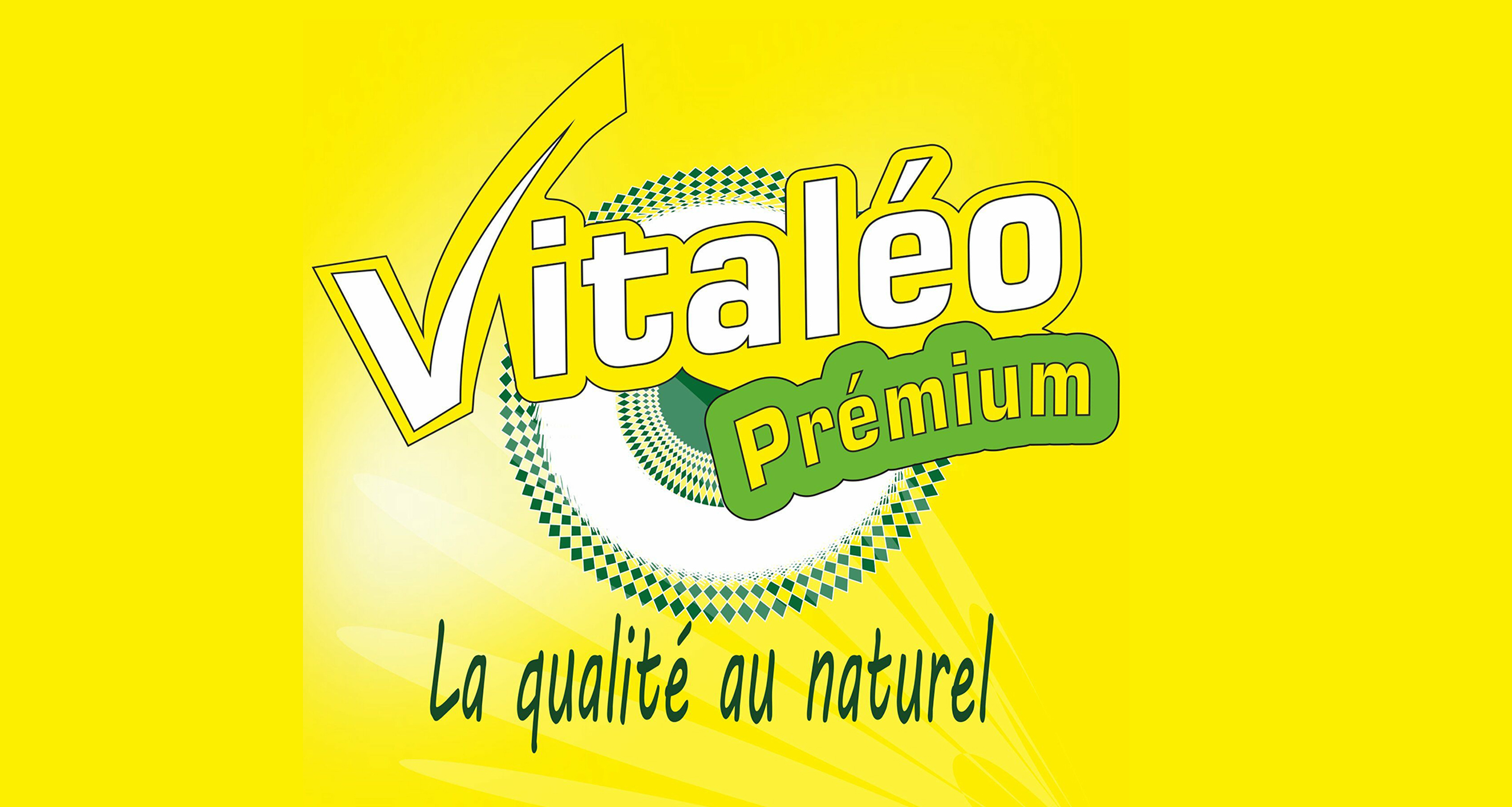 vi