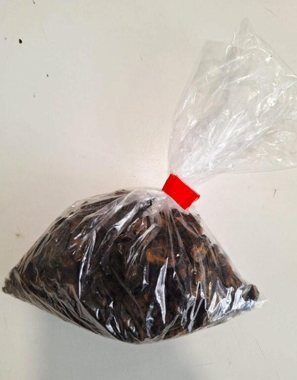 Adokoine/moules frite