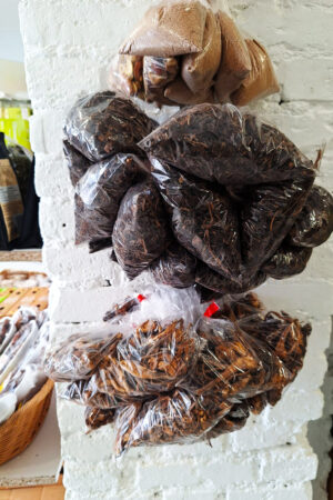 Champignons noirs (Djon Djon)