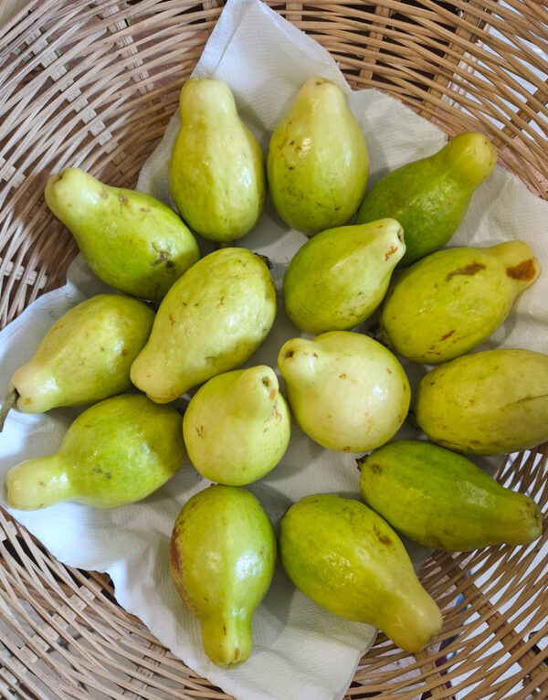 Goyave kg