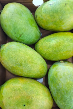Mangue Cameroun (kg)
