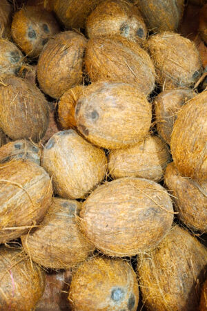 Noix de coco