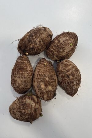 TARO KG