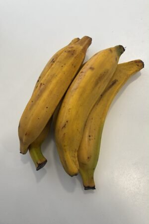PLANTAINS JAUNE