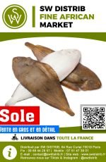 swdistrib.com produit france (78)