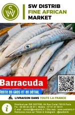 swdistrib.com produit france (83)